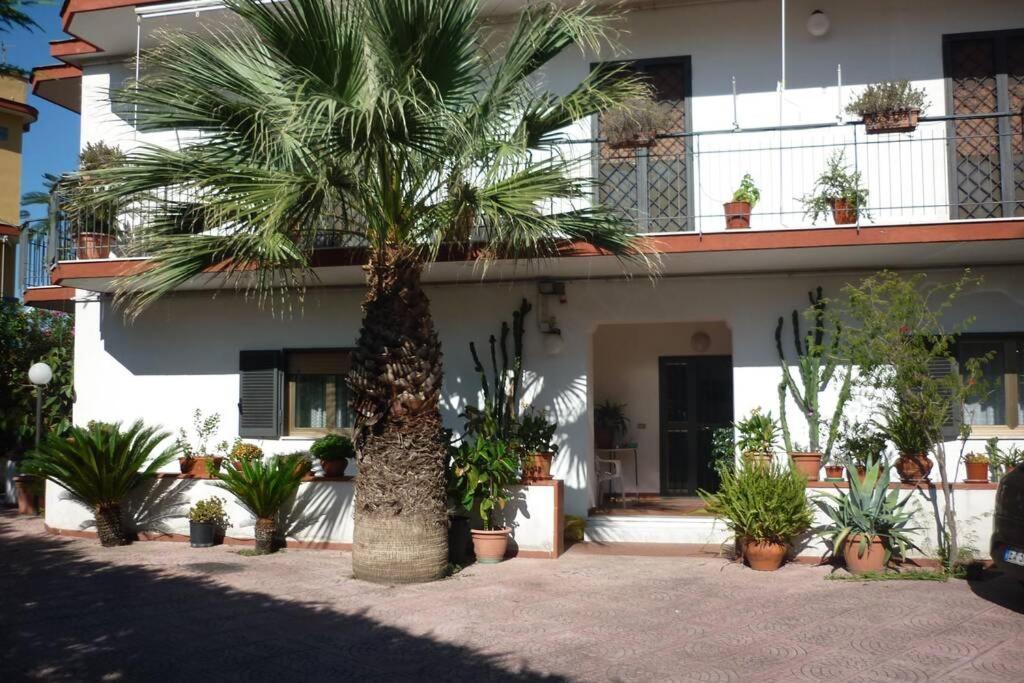 Appartamento Casa Vesuvio Massa di Somma Esterno foto